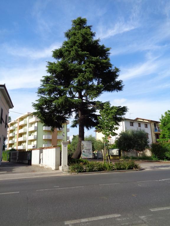 Liz Beth Apartman Lucca Szoba fotó